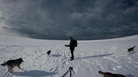 persona y huskies jugando en la nieve