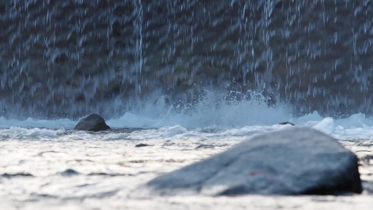 강이 앞에 있는 슬로우 모션의 폭포