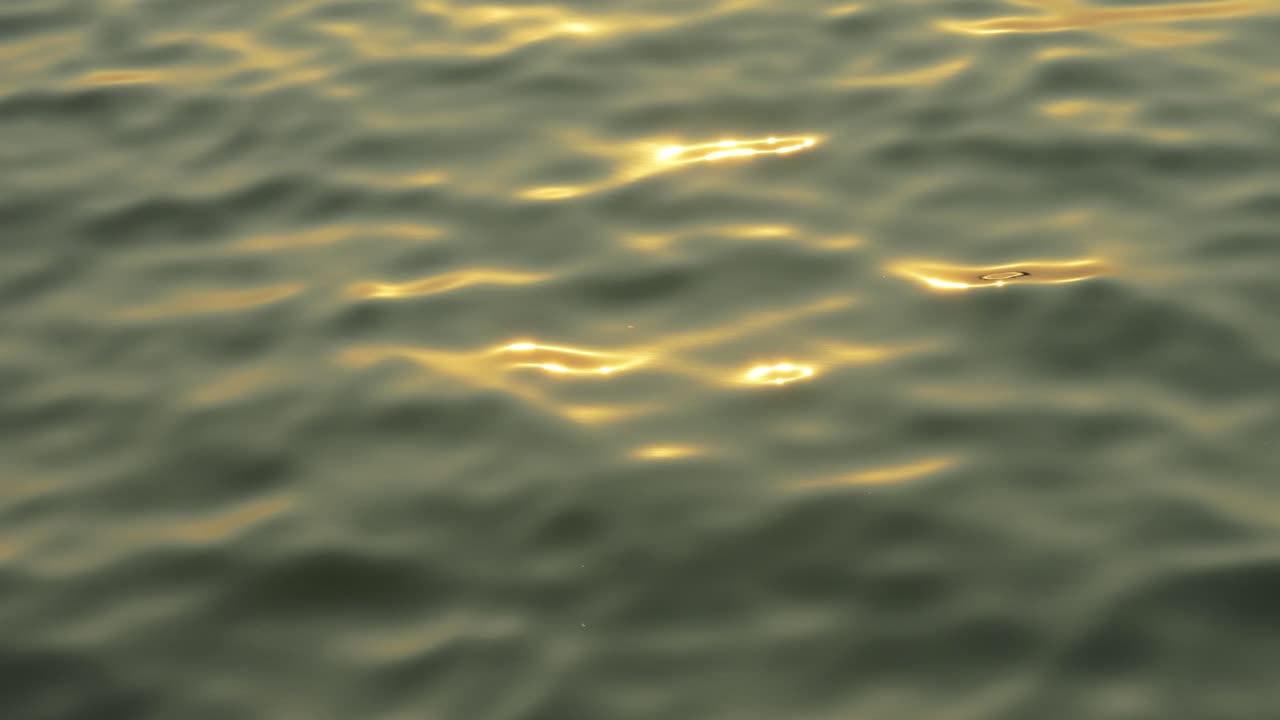 Sunkissed liquid water surface shimmering with golden sunlight reflections, creating a smooth gradient background with calming abstract motion for nature, relaxation, and atmospheric visuals