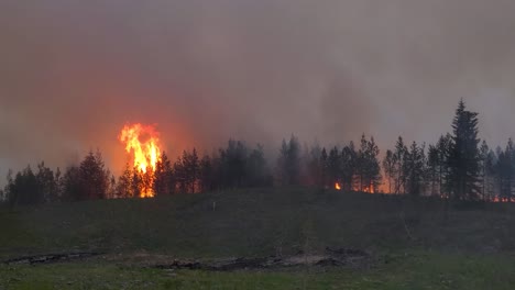 Canada-wildfire,-trees-burning,-sky-covered-with-intense-grey-smoke,-Fox-Creek,-Canada,-5-22-2023
