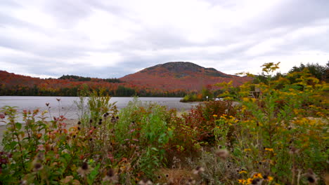 left to right pan by a lake with mountain