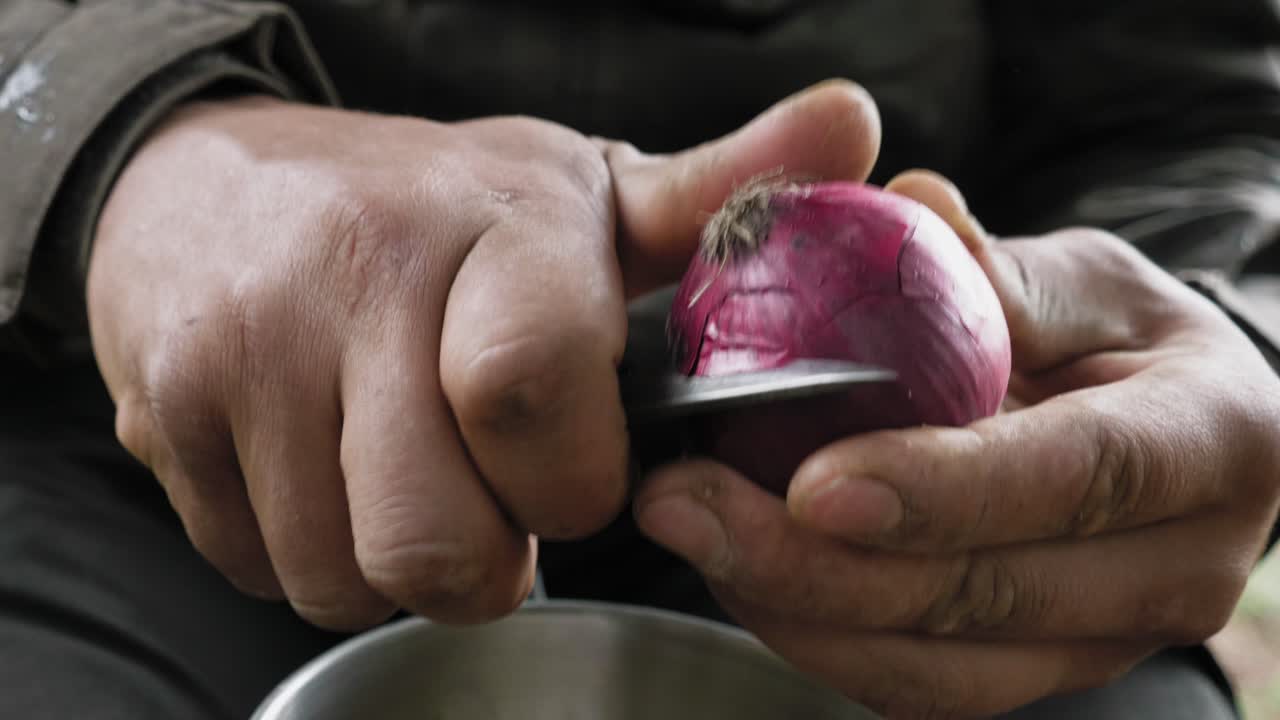 Person cutting a red onion outside, Static Close Up