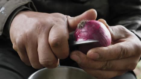 Person-cutting-a-red-onion-outside,-Static-Close-Up