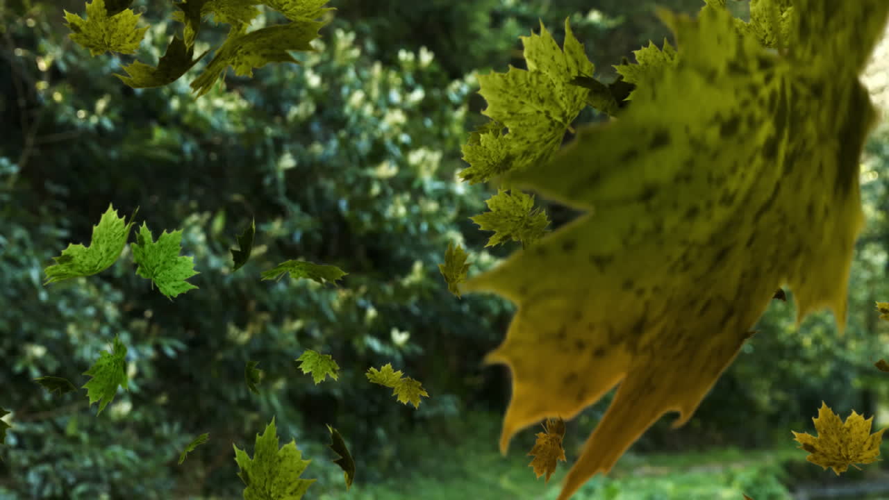 animación de las hojas de otoño que caen sobre el bosque