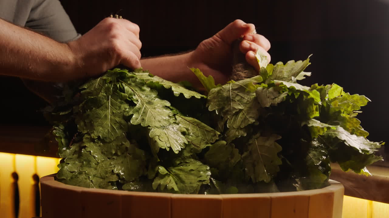Person preparing an oak branch bundle for a traditional Russian banya sauna session
