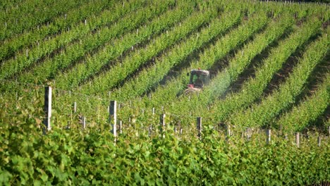 un tractor rociando fungicida contra insectos, tiro largo, en la región de monbazillac de la dordogne