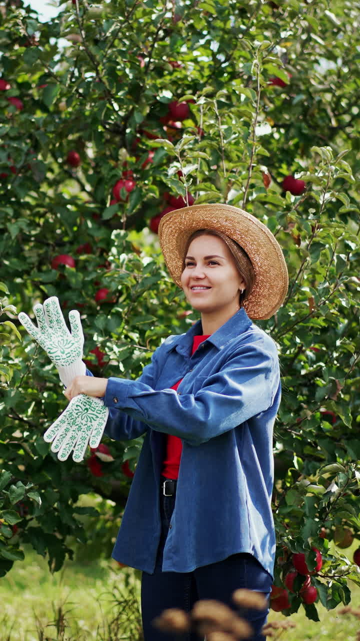 Positive young woman in straw hat puts on gloves. Lady prepares for harvesting red ripe apples from trees in the garden. Vertical video