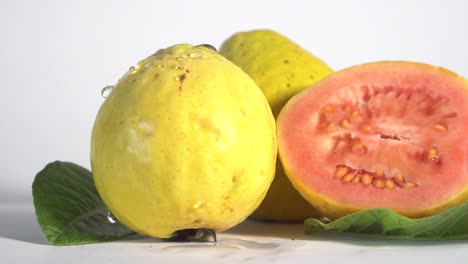 extreme close up water droplets fall on fresh ripe guava fruit, isolated