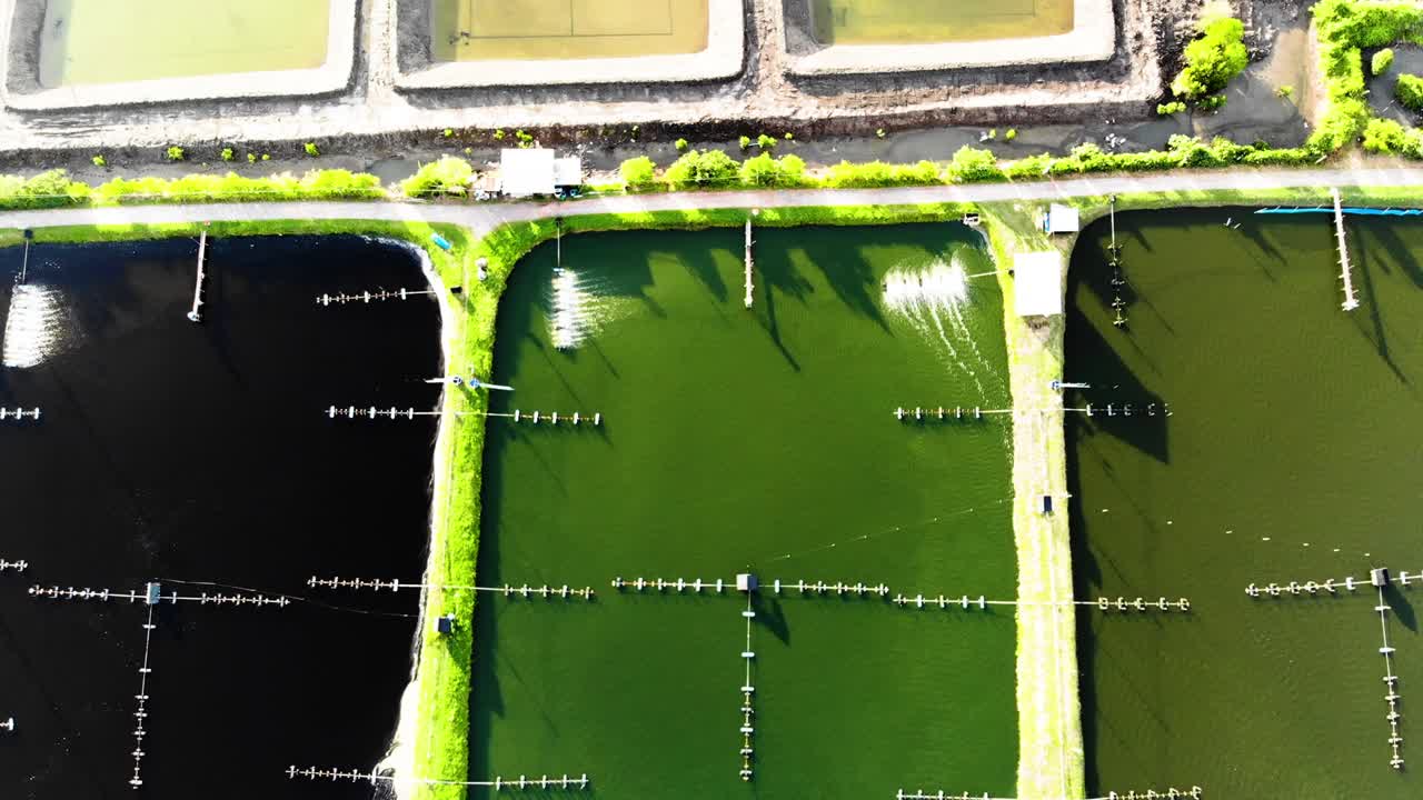widok na farmę krewetek i farmę rybacką