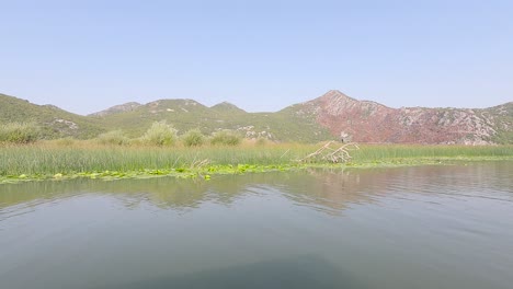 crucero en barco por el lago skadar en montenegro