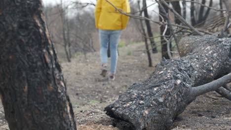 Man-Walking-Alone-Through-A-Burned-Down-Forest-In-El-Pont-de-Vilomara,-Spain---slow-motion