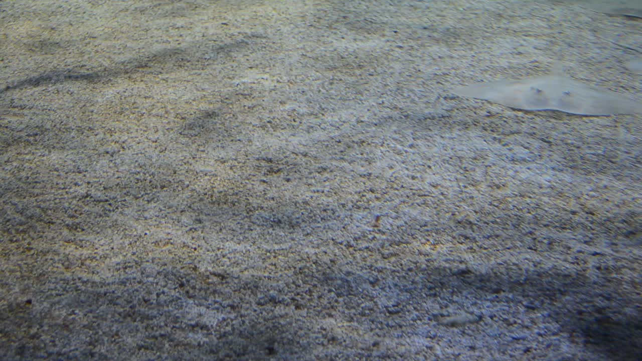 Land Spanien - Aquarium Barcelona