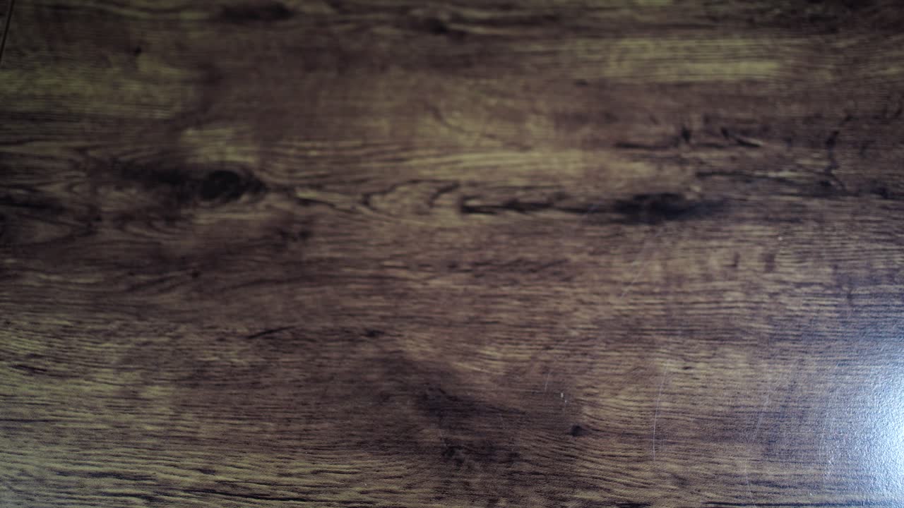 female serves hot-pressed panini on the wooden board