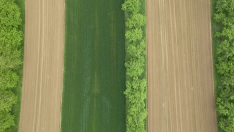 different-farming-fields-from-above