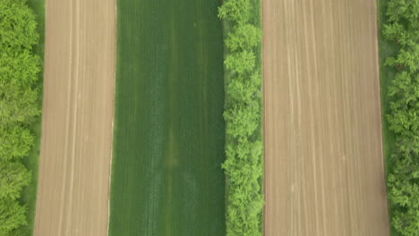 Verschiedene-Landwirtschaftliche-Felder-Von-Oben