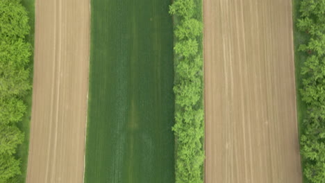 diferentes campos de cultivo desde arriba