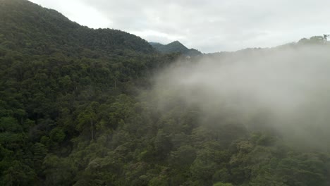 Dschungelberge-Nebel-Costa-Rica