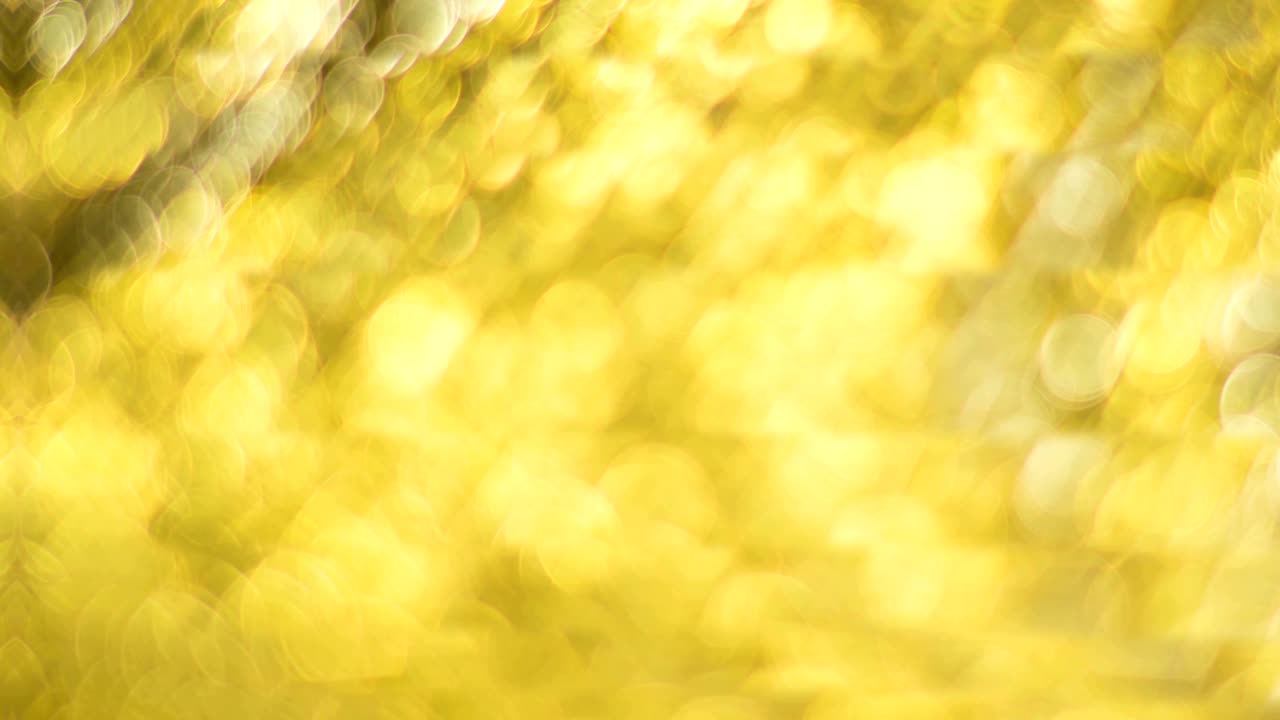 금색 보케, 추상적인 배경, 불명확한 조명, 4k 고품질 영상