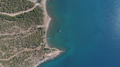 Coastline-Aerial-View