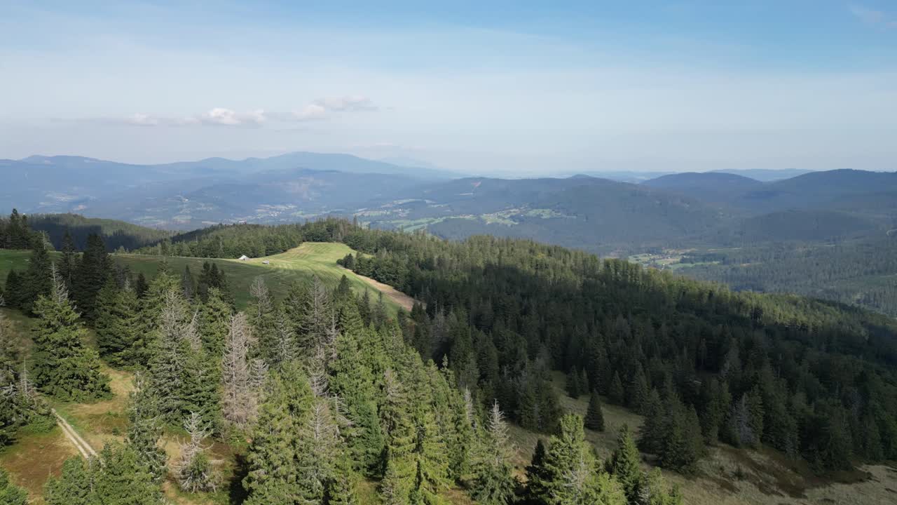 paisaje montañoso durante un día de verano con picos de montañas, bosque, vegetación exuberante y árboles