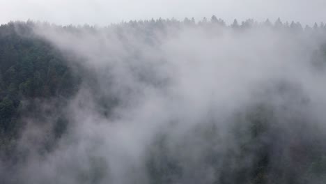 aerial moody forest moving forward towards mountain ridge through clouds 4k