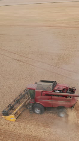 agricultural countryside industry. big combine harvesting golden wheat on the field. vertical video