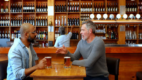 friends toasting glass of beer in bar 4k