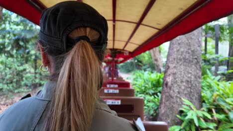 mujeres disfrutando de un paseo en un viejo tren pintoresco que viaja a través de un parque de santuario de vida silvestre