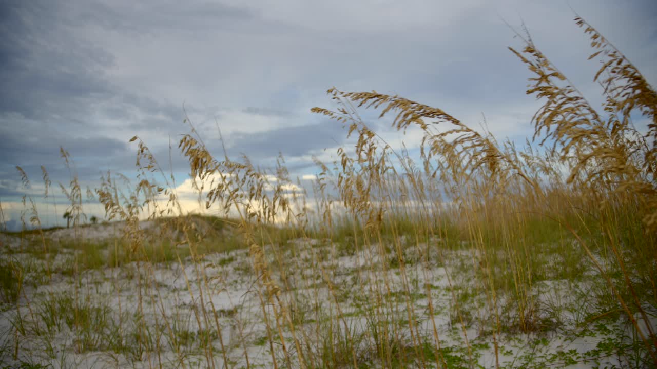 아나모픽 렌즈로 바다 모래언덕의 일몰