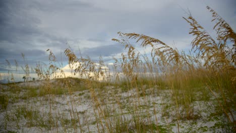 Puesta-De-Sol-En-Las-Dunas-Junto-Al-Océano-Con-Una-Lente-Anamórfica