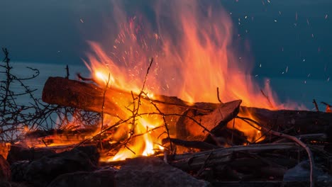 cinemagraph of a campfire at twilight on the beach