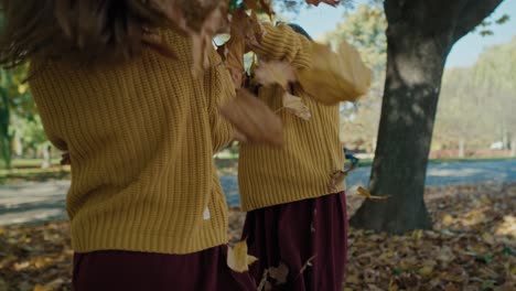 caucasian twins playing together with autumn leaves.