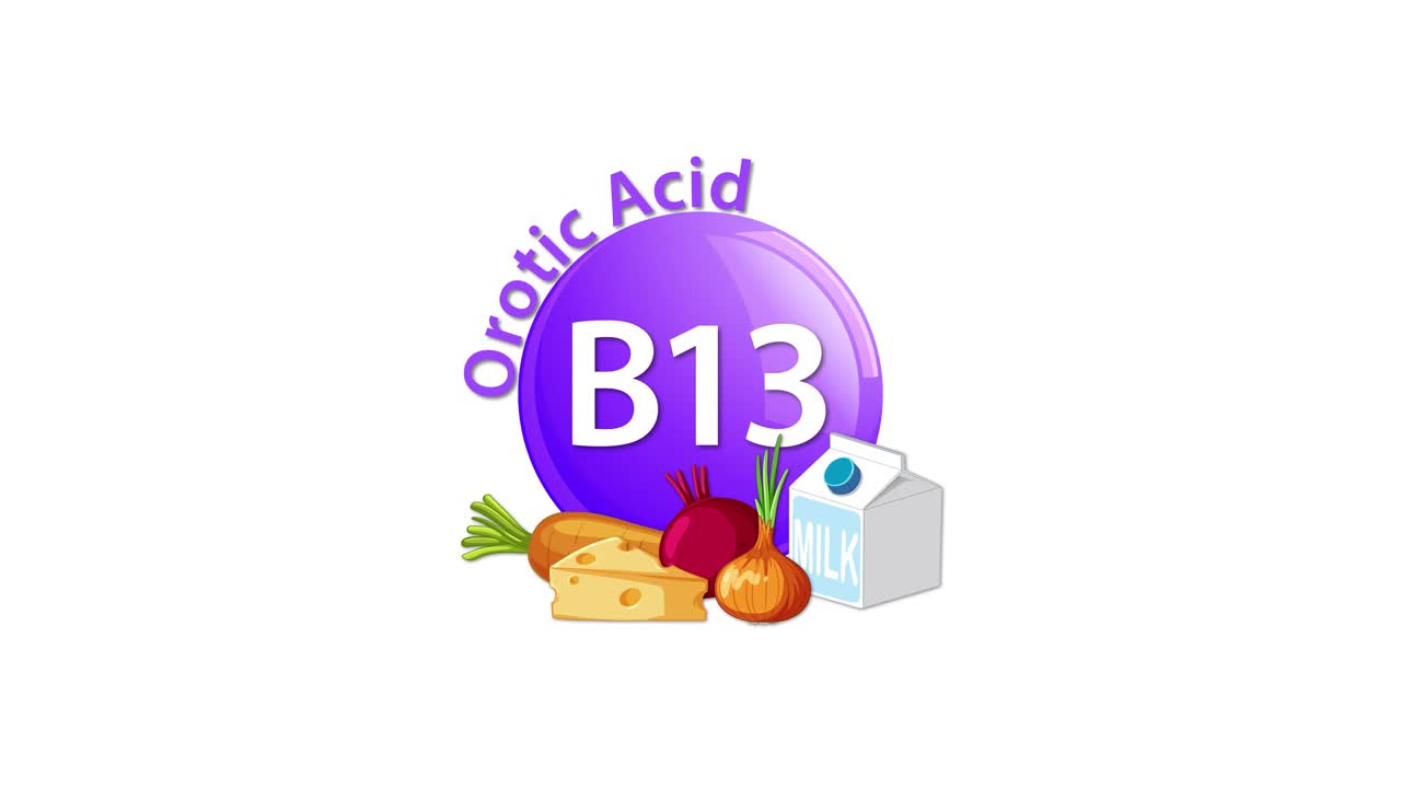 A dynamic animation introduces a purple Vitamin B13 orotic acid icon, gradually surrounded by illustrated food sources like vegetables, cheese, and milk on a clean white background
