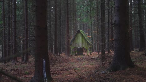 Mysteriöses-Gebäude-Im-Wald,-Das-Tieren-Unterschlupf-Und-Nahrung-Bietet