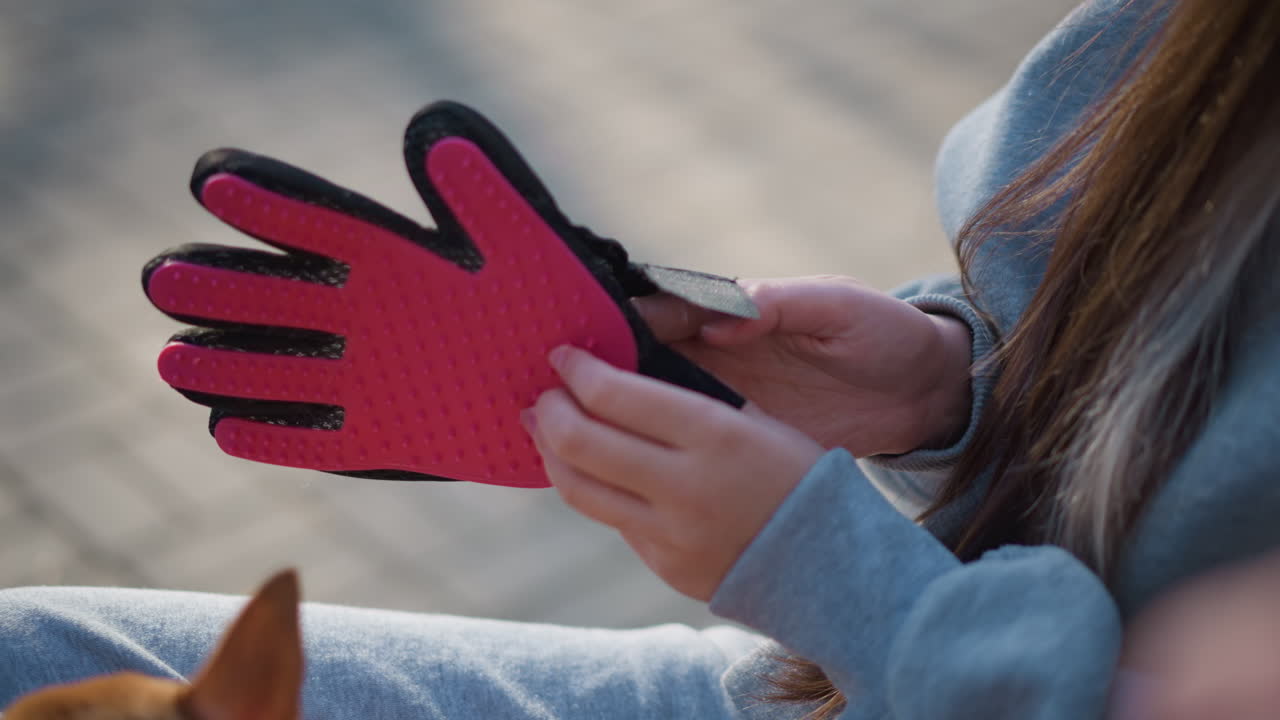 벤치에 놓인 분홍색 장갑, 작은 강아지와 함께 있는 그루밍 툴의 클로즈업, 반려견 옆에 놓인 그루밍 제품의 편안한 모습, 그루밍 장갑과 귀여운 작은 강아지가 있는 편안한 공원 풍경