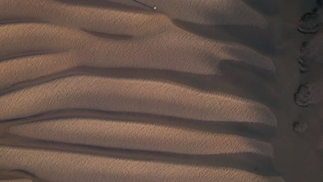 person walking in the desert sand with wavelike ripples