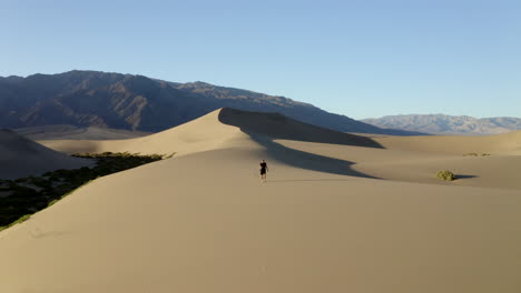 Drone-footage-of-man-waking-in-deserted,-empty-sand-dunes-at-sunrise,-beautiful-golden-light