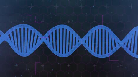 animación de formas sobre la hebra de adn