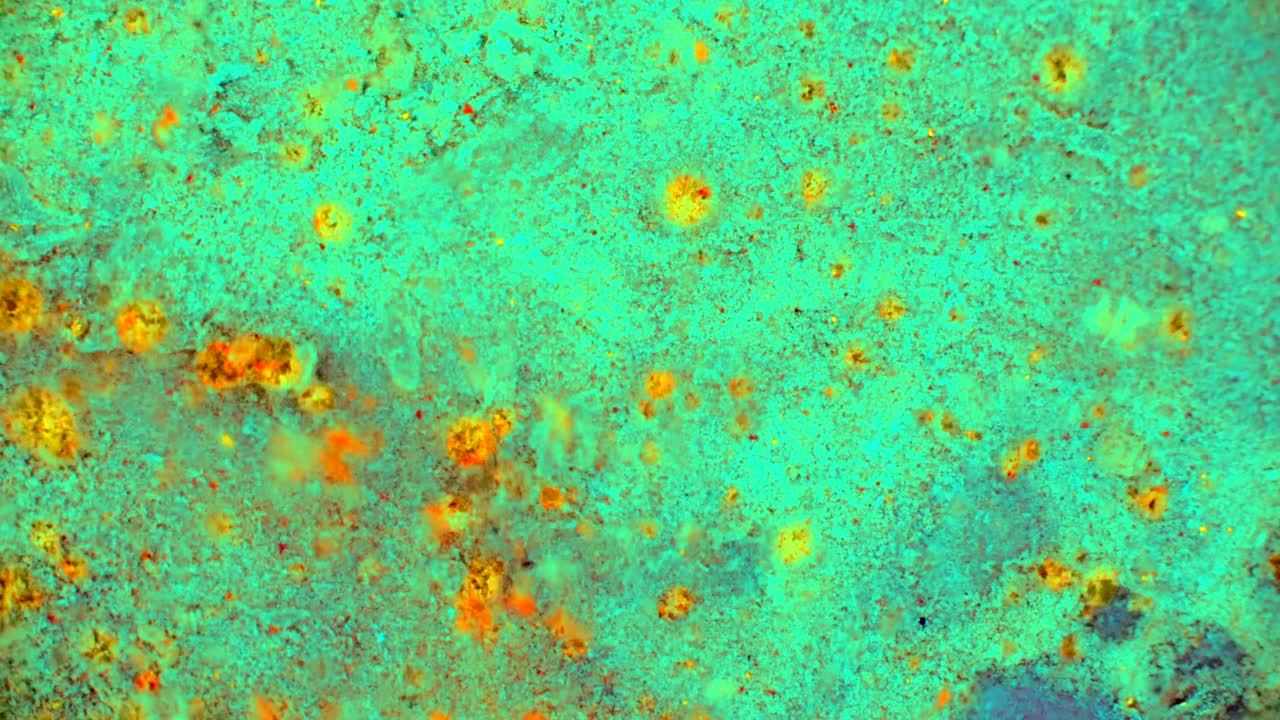 el rizado de las pinturas