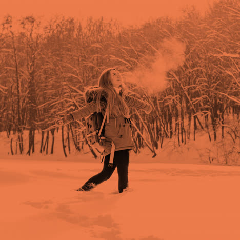Winter Mountain Scenery and Hiking