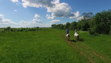 horseback riding in a green field