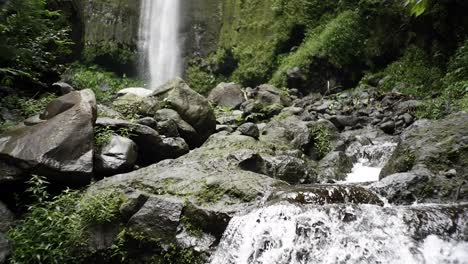 vista de cascadas y ríos caudalosos en medio del bosque
