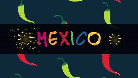 colorful mexico chili pepper pattern