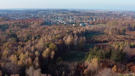 bosque amarillo en otoño con ciudad en el fondo aéreo 4k