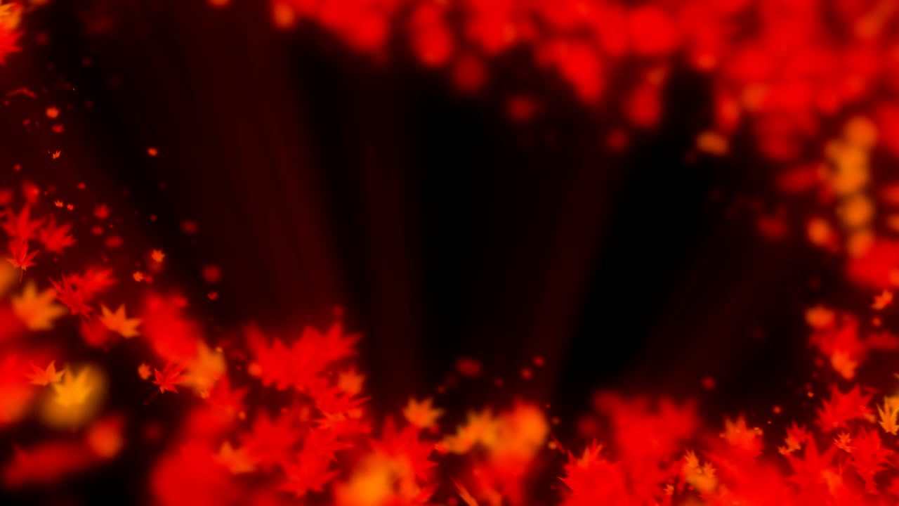 가을 잎의 스핀, 메이플, cg 애니메이션, 루프