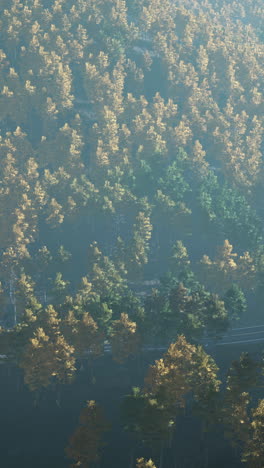 aerial view of a misty forest in autumn