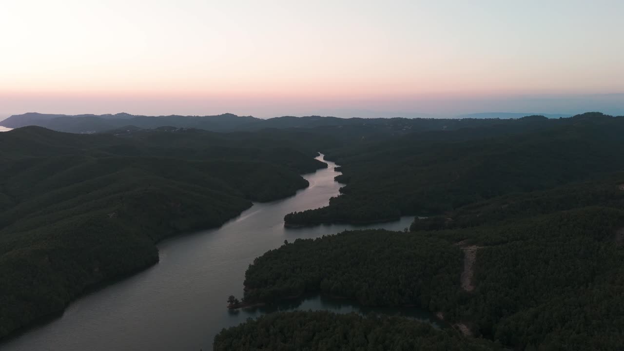 강 근처의 그늘진 열대 숲 언덕 위에서 밝은 저녁 하늘을 향해 날아