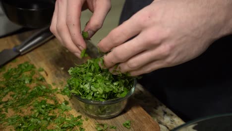 cutting and mixing a bowl of cilantro in slow motion.