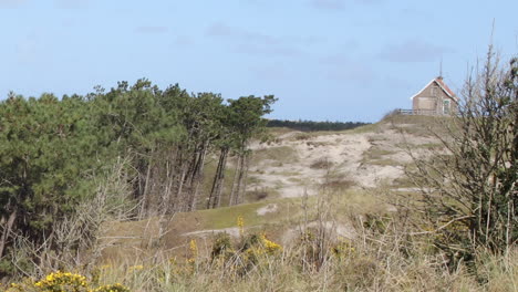 casa solitaria en la cima de una colina en las dunas junto al bosque