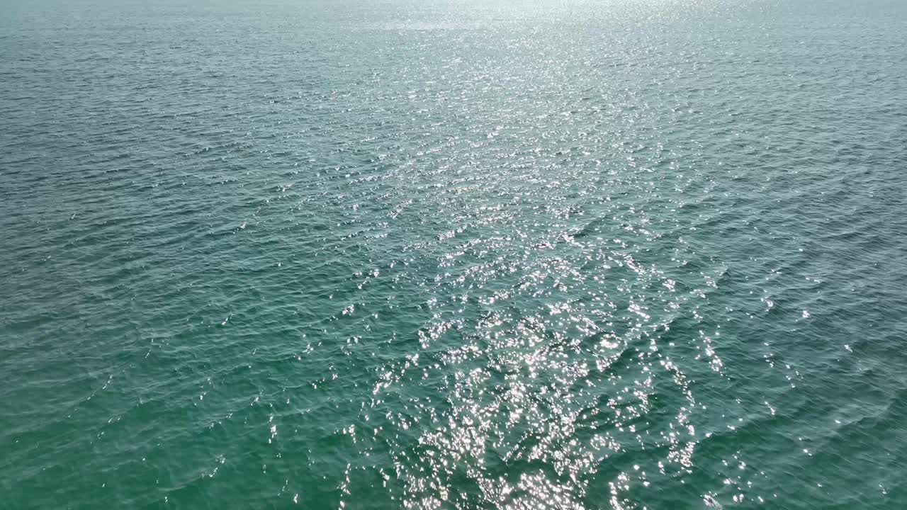 바물 의 근접적 인 모습